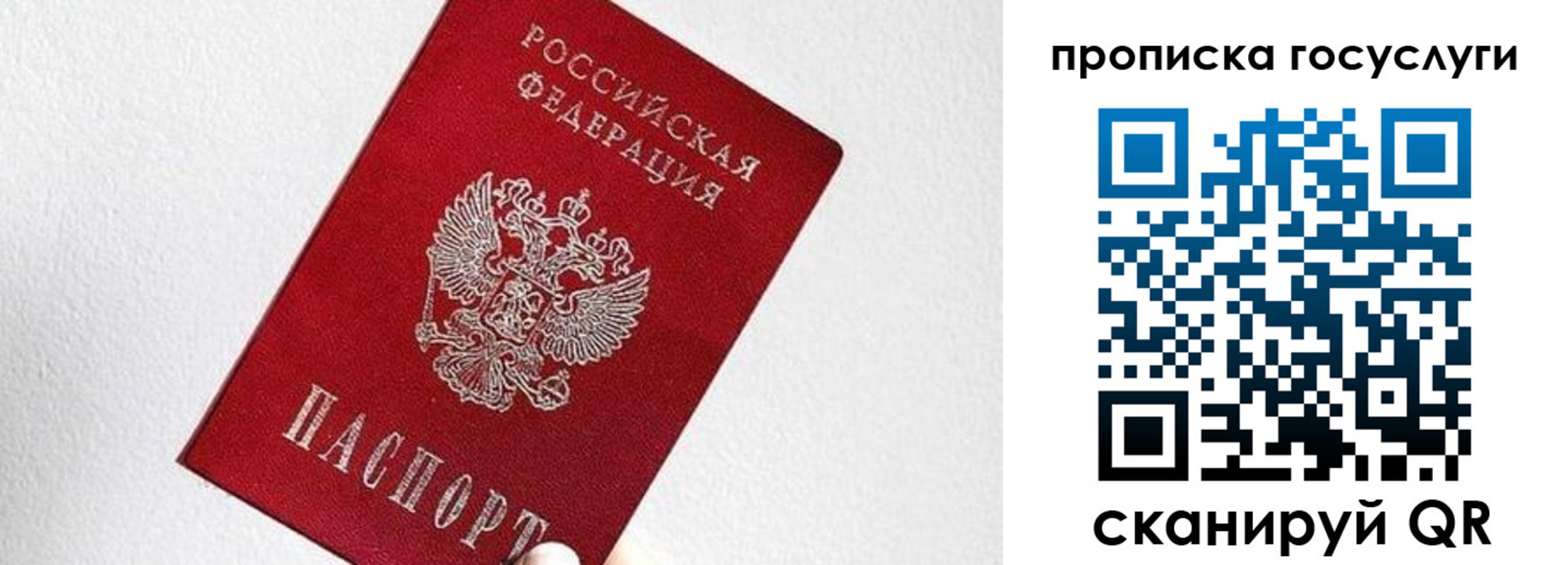 прописка законно в Пионерском
